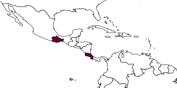map of Perditorulus evanescens     Hansson, 1996